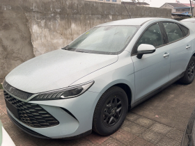 比亚迪 秦PLUS 2025款 DM-i 智驾版 55KM领先型