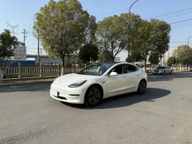 特斯拉 Model 3(进口) 2019款 长续航全轮驱动版