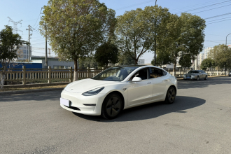 特斯拉 Model 3(进口) 2019款 长续航全轮驱动版