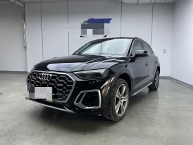 奥迪Q5L 2021款 45 TFSI 豪华动感型