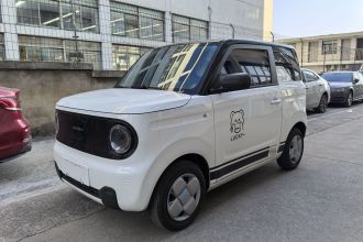 吉利银河 2024款 熊猫mini 200km 耐力熊