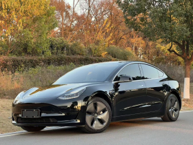特斯拉 Model 3 2019款 标准续航后驱升级版