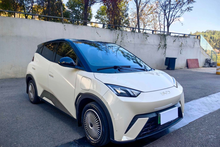 比亚迪 海鸥 2024款 荣耀版 305km 活力版车身外观6007