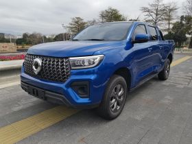 长城 炮 2024款 2.4T商用版自动柴油两驱精英型