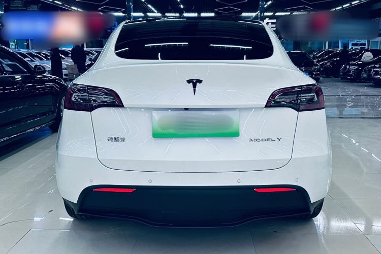 特斯拉 Model Y 2021款 标准续航后驱版车身外观6005