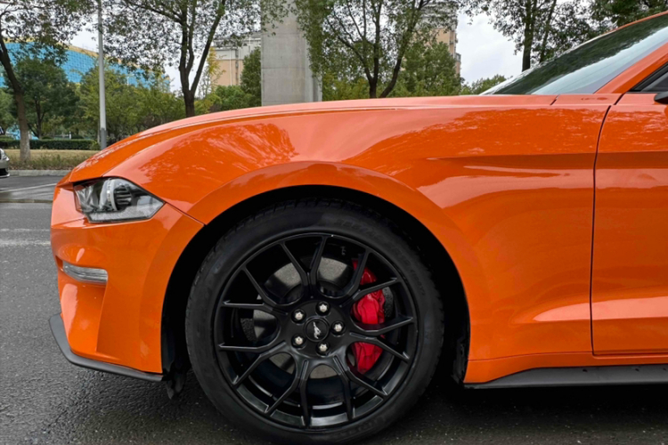 福特 Mustang 2020款 2.3L EcoBoost车身外观6005