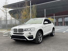 宝马X4 2014款 xDrive20i X设计套装