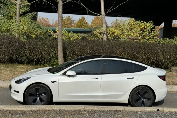 特斯拉 Model 3 2021款 改款 标准续航后驱升级版 3D1车身外观6001