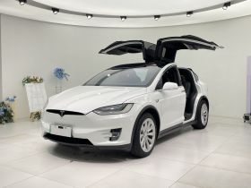 特斯拉 Model X 2019款 长续航版
