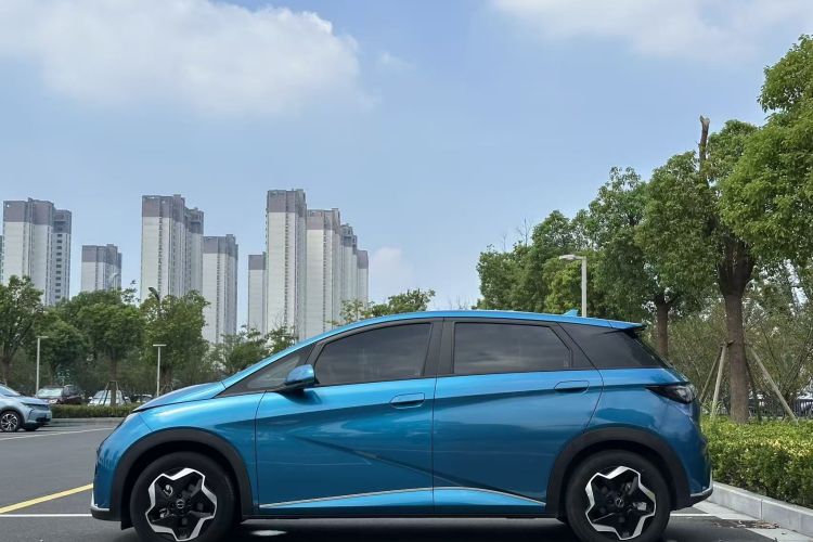 比亚迪 海豚 2021款 405km 自由版车身外观6004