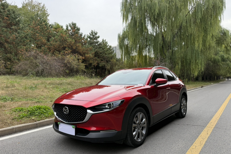 马自达CX-30 2020款 2.0L 自动耀悦型局部细节57