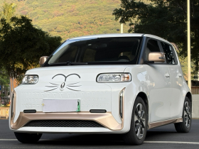 欧拉白猫 2022款 小野猫版 360km 豪华型 三元锂