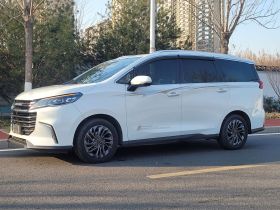 上汽大通MAXUS 大通G50 2019款 1.5T 首发款自动豪华版 6座