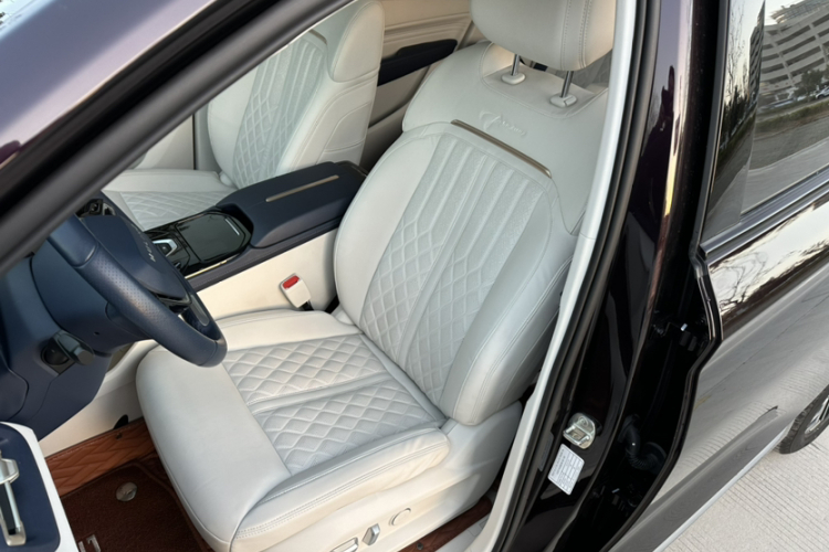 五菱汽车 五菱凯捷 2023款 2.0L DHT奢享型局部细节19