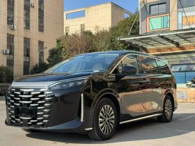 比亚迪 夏 2025款 DM-i 1.5T 180km 卓越型