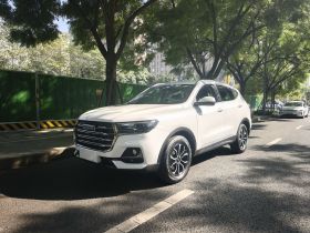 哈弗H6 2021款 国潮版 1.5T 自动都市版