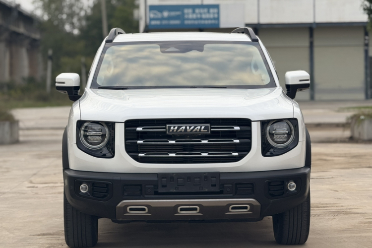 哈弗大狗 2021款 改款 1.5T DCT两驱马犬版车身外观6003