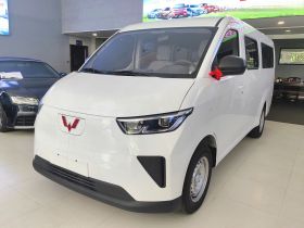 五菱汽车 五菱扬光 2024款 300KM 舒适型客车版 75kW