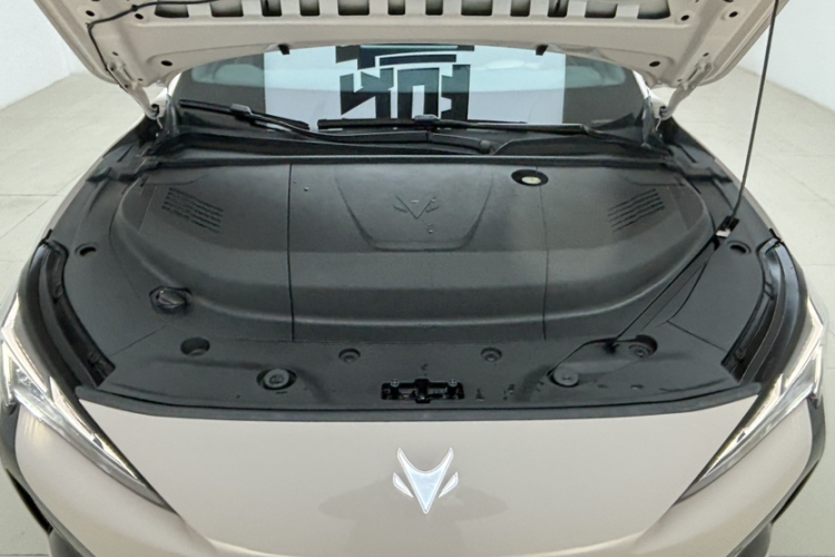 ARCFOX极狐 极狐 阿尔法S5 2024款 560PRO 185kW局部细节24