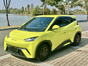 比亚迪 海鸥 2023款 活力版