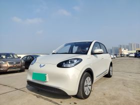 五菱汽车 五菱缤果 2025款 203km 轻享款