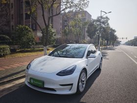 特斯拉 Model 3 2021款 改款 标准续航后驱升级版 3D1