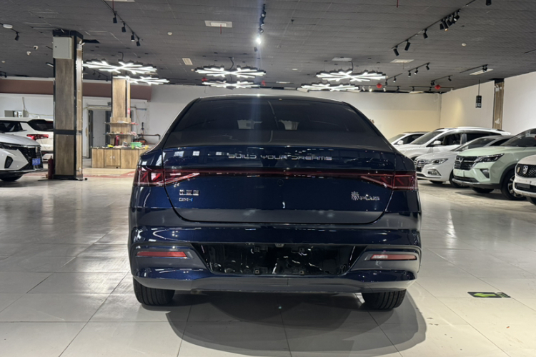 比亚迪 秦PLUS 2023款 冠军版 DM-i 55KM领先型车身外观6003