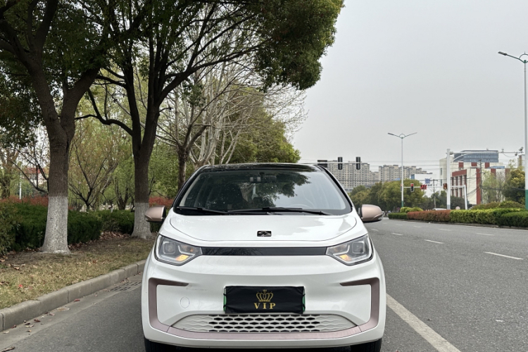 思皓 花仙子 2021款 集美版 302km 时尚型车身外观6006