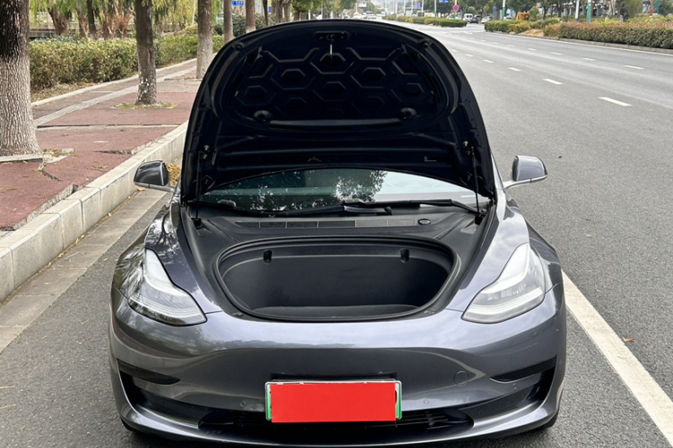 特斯拉 Model 3 2020款 标准续航后驱升级版车身外观6002