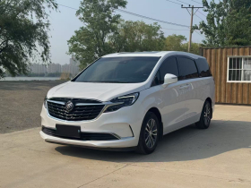 别克GL8 2020款 ES陆尊 653T 尊享型