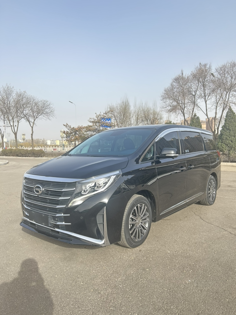 2021款 传祺M8 领秀系列 390T 至尊版图片