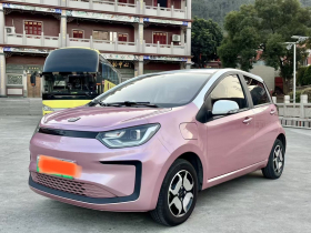 思皓 花仙子 2021款 302km 豪华型 31.4kWh