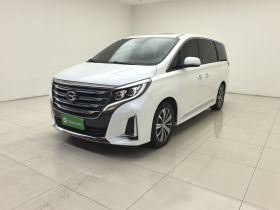 广汽传祺 传祺M8 2020款 领航款 390T 尊贵版