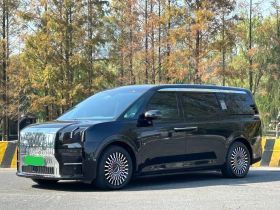 极氪009 2022款 WE版