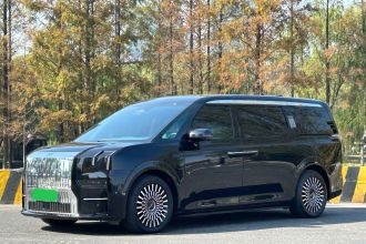 极氪009 2022款 WE版