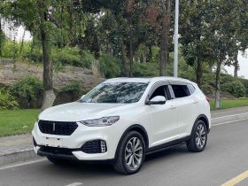 魏牌 VV6 2019款 2.0T 两驱超豪型 国VI