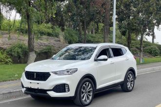 魏牌 VV6 2019款 2.0T 两驱超豪型 国VI