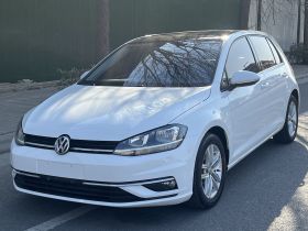 大众 高尔夫 2018款 1.6L 自动舒适型