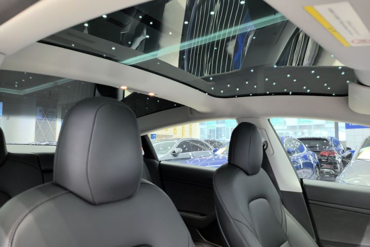 特斯拉 Model 3 2020款 改款 长续航后轮驱动版中控内饰7007