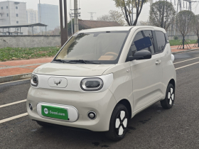 五菱汽车 宏光MINIEV 2024款 第三代 215km 青春版