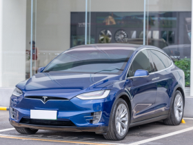 特斯拉 Model X 2019款 长续航版