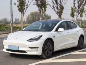 特斯拉 Model 3 2019款 标准续航后驱升级版