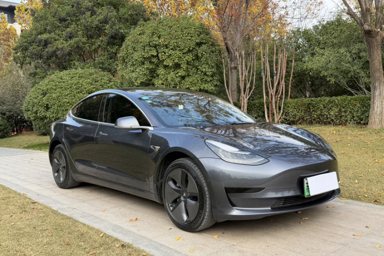 特斯拉 Model 3(进口) 2019款 标准续航后驱升级版(52度)车身外观6007