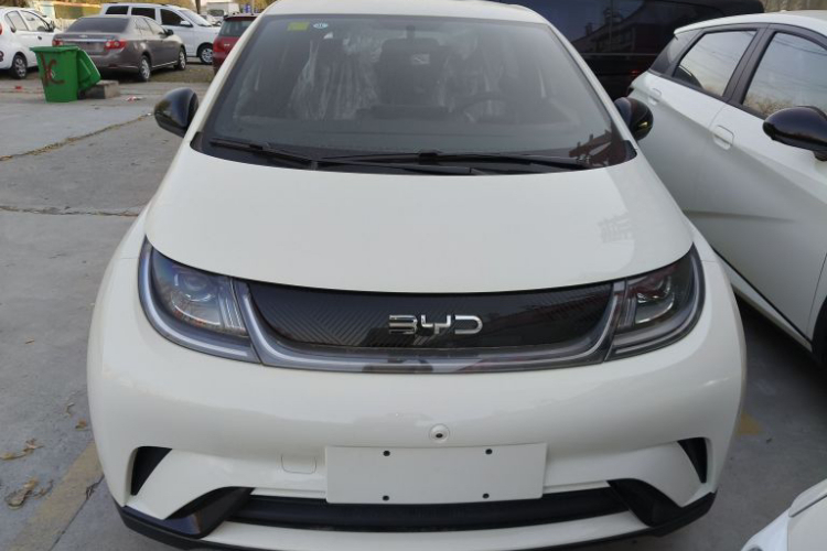 比亚迪 海豚 2025款 420km 自由版车身外观6001