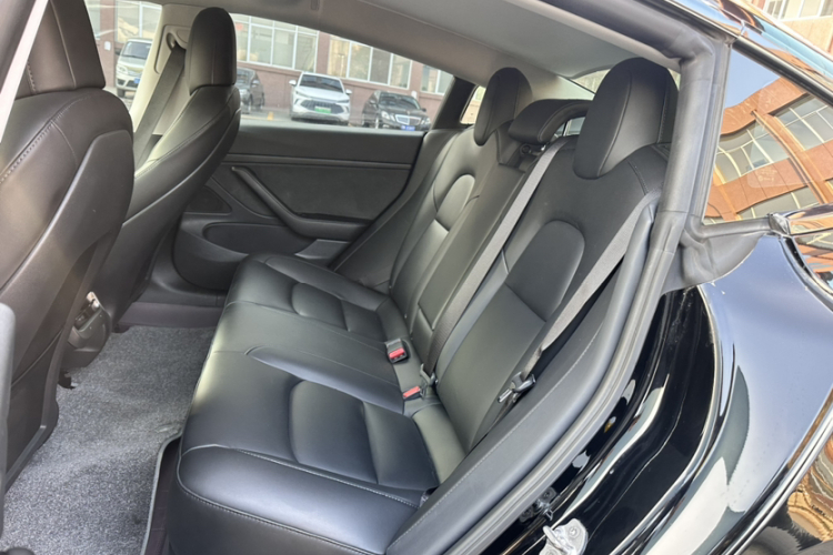 特斯拉 Model 3 2020款 标准续航后驱升级版中控内饰7006