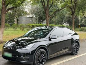 特斯拉 Model Y 2022款 改款 后轮驱动版
