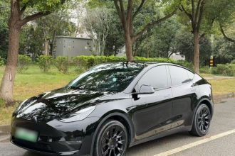 特斯拉 Model Y 2022款 改款 后轮驱动版