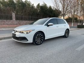 大众 高尔夫 2021款 280TSI DSG Pro