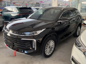 星途凌云 2021款 290T 两驱星耀版