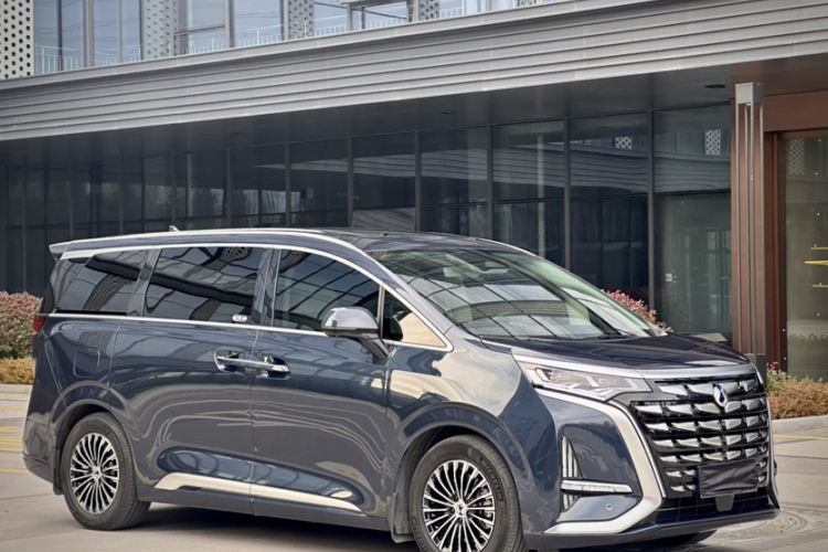 腾势D9 2024款 DM-i 1050 尊享型车身外观6005